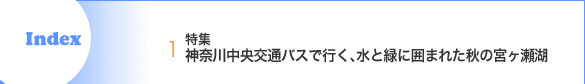 1.�ý� ������������̥Х��ǹԤ�������Ф˰Ϥޤ줿���εܥ�����