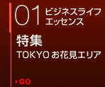 01 �ӥ��ͥ��饤�ե��å��� �ý� TOKYO ���ָ����ꥢ