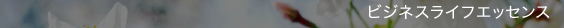�ӥ��ͥ��饤�ե��å���