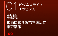 01 �ӥ��ͥ��饤�ե��å��� �ý� �߱��˱Ǥ���֤���� �������