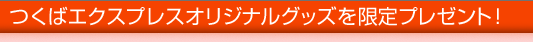 �Ĥ��Х������ץ쥹���ꥸ�ʥ륰�å������ץ쥼��ȡ�