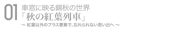 01 ����˱Ǥ�ӽ������� �ֽ��ι�����֡�