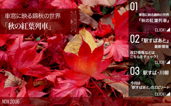 ����˱Ǥ�ӽ������� �ֽ��ι�����֡�