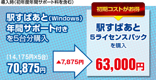 導入時(初年度年間サポート料金含む）
