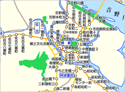 路線バス (徳島バス)